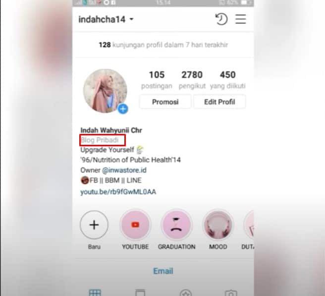 cara menampilkan blog pribadi di profil ig